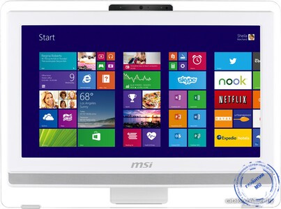 моноблок MSI AE201-049RU